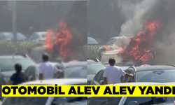 İstanbul'da otomobil alevlere teslim oldu