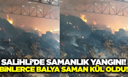 Salihli'de samanlık alev alev yandı!