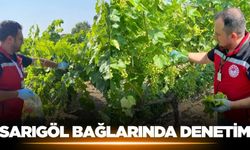 Sarıgöl bağlarında denetim