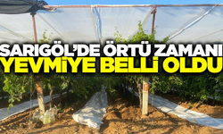 Sarıgöl Ovası’nda Üzüm Bağlarında Koruma Çalışmaları Başladı