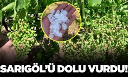 Sarıgöl'de donun ardından yeni bir şok