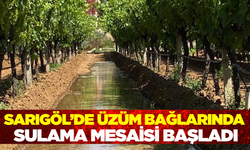 Artan Sıcaklıklar Sarıgöl Bağlarında Sulama Çalışmalarını Başlattı