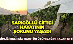Bağını kontrol etmeye giden Sarıgöllü çiftçi büyük şaşkınlık yaşadı