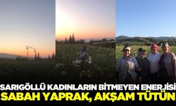 Sarıgöllü kadınlar dur durak bilmiyor: Tarladan tarlaya koşuyor