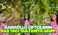 Sarıgöllü üreticilerin "Baş Tacı" sultaniye üzüm, sezona hazırlanıyor!