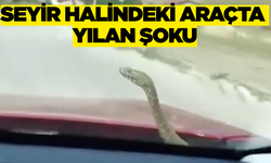 Kütahya’ya bu kez sıra dışı bir olayla gündeme geldi