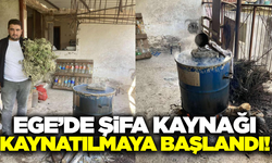 Şifa için kaynatılmaya başlandı: Her evin acil durum ilacıymış