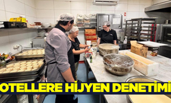 Söke'de otellere hijyen ve gıda güvenliği denetimi