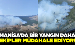 Soma'daki orman yangınına ekipler müdahale ediyor