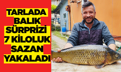 Denizli’de Amatör Balıkçıdan Büyük Zafer