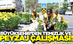 Aydın Büyükşehir'den Nazilli'ye kapsamlı çalışma!