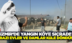 İzmir'de alevler mahalleye ulaştı: Bazı evler küle döndü