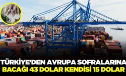 Türkiye şaşırtan ihracat: Bütün hali 15 dolar, bacağı 43 dolar