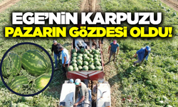 Türkiye'nin gözü burada! Pazarcılar gün doğmadan sıraya giriyor
