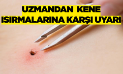 Kene Tehlikesi Kapıda Ölüme Yol Açabilir!