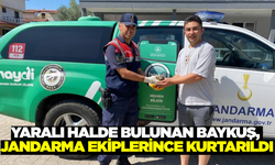 Kuşadası'nda yaralı baykuşu jandarma kurtardı