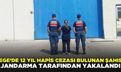 Ege'de 12 yıl hapis cezası bulunan şahıs yakalandı