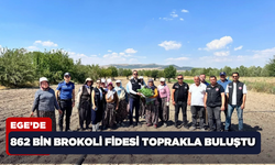 Ege'de 862 bin brokoli fidesi toprakla buluştu