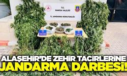 Alaşehir'de binlerce kök kenevir ele geçirildi!