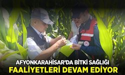 Ege'de bitki sağlığını korumaya yönelik faaliyetler devam ediyor