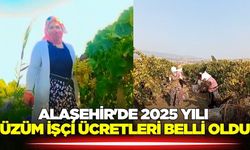 Alaşehir'de 2025 yılı üzüm işçi ücretleri belli oldu