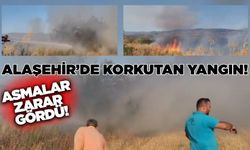 Alaşehir'de korkutan yangın: Asmalar zarar gördü!