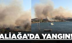 İzmir'de otluk alanda yangın!