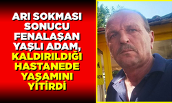Arı sokması sonucu rahatsızlanan yaşlı adam hastanede yaşamını yitirdi