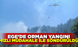 Tavşanlı'da orman yangını, erken müdahaleyle kontrol altına alındı