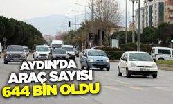 Aydın'da araç sayısı arttı