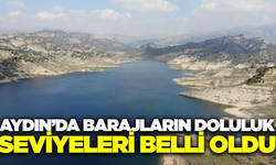 Aydın barajlarında doluluk oranları geçen yıla göre arttı