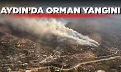 Aydın'da ormanda alevler yükseldi
