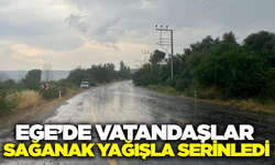 Aydın'da sağanak yağış etkili oldu