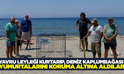 Aydın'da yaban hayatı için seferberlik!