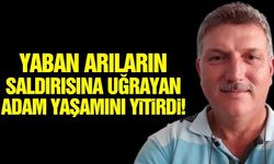 Balıkesir'de acı olay: Yaban arı sokması can aldı!