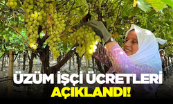 2025 yılı üzüm işçi ücretleri belli oldu