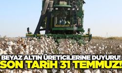 Beyaz altın üreticilerine önemli duyuru! Son tarih 31 Temmuz