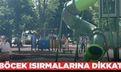 Açık alanda çok fazla vakit geçirenler dikkat!