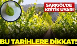 Sarıgöllü bağcılara kritik uyarı!