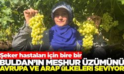 Buldan’ın Süperior Üzümü şeker hastalarının da gözdesi