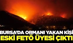 Bursa'da orman kundakçısı FETÖ'den ihraç astsubay çıktı