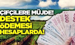 Çiftçilere 1,7 milyar liralık destek ödemesi hesaplarda!