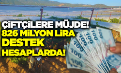 Çiftçilere 826 milyon lira destek!