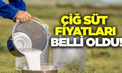 Süt fiyatları belli oldu