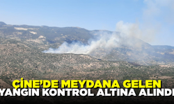 Çine'de meydana gelen yangın kontrol altına alındı