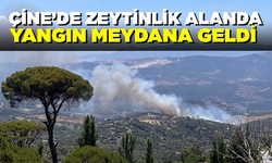 Çine’de zeytinlik alanda yangın meydana geldi