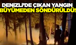 Denizli'de çıkan orman yangını büyümeden söndürüldü!