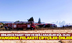Denizli'de çıkan yangın çiftçilerin çabasıyla felakete dönüşmedi