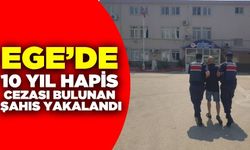 Ege'de operasyon: 1 tutuklama