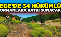 Ege'de 34 hükümlü ormanlara katkı sunacak